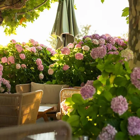 Hotel Mediterranee Le Lavandou