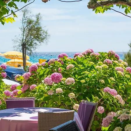 Hotel Mediterranee Le Lavandou