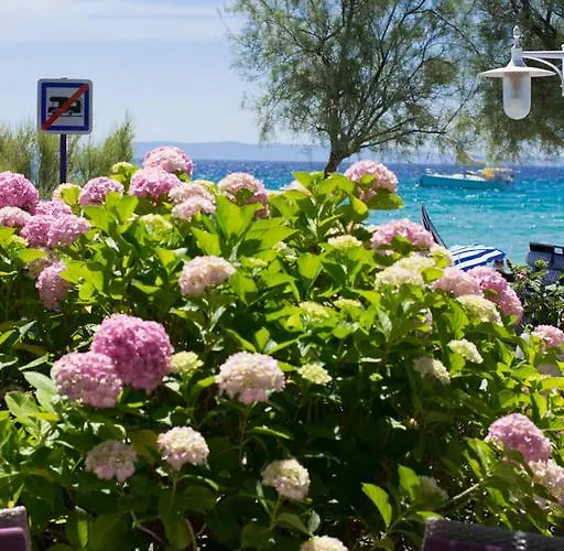 Mediterranee Le Lavandou