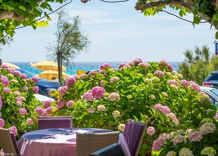 Hotell Mediterranee Le Lavandou