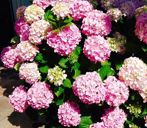 Mediterranee 3* لو لا فاندو